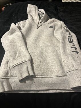 Carhartt Light Heather Gray Pullover Hoodie with Sleeve Logo